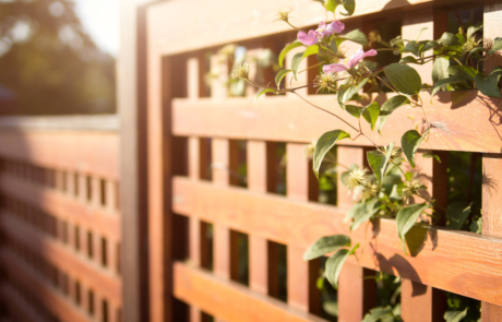 Wooden fence